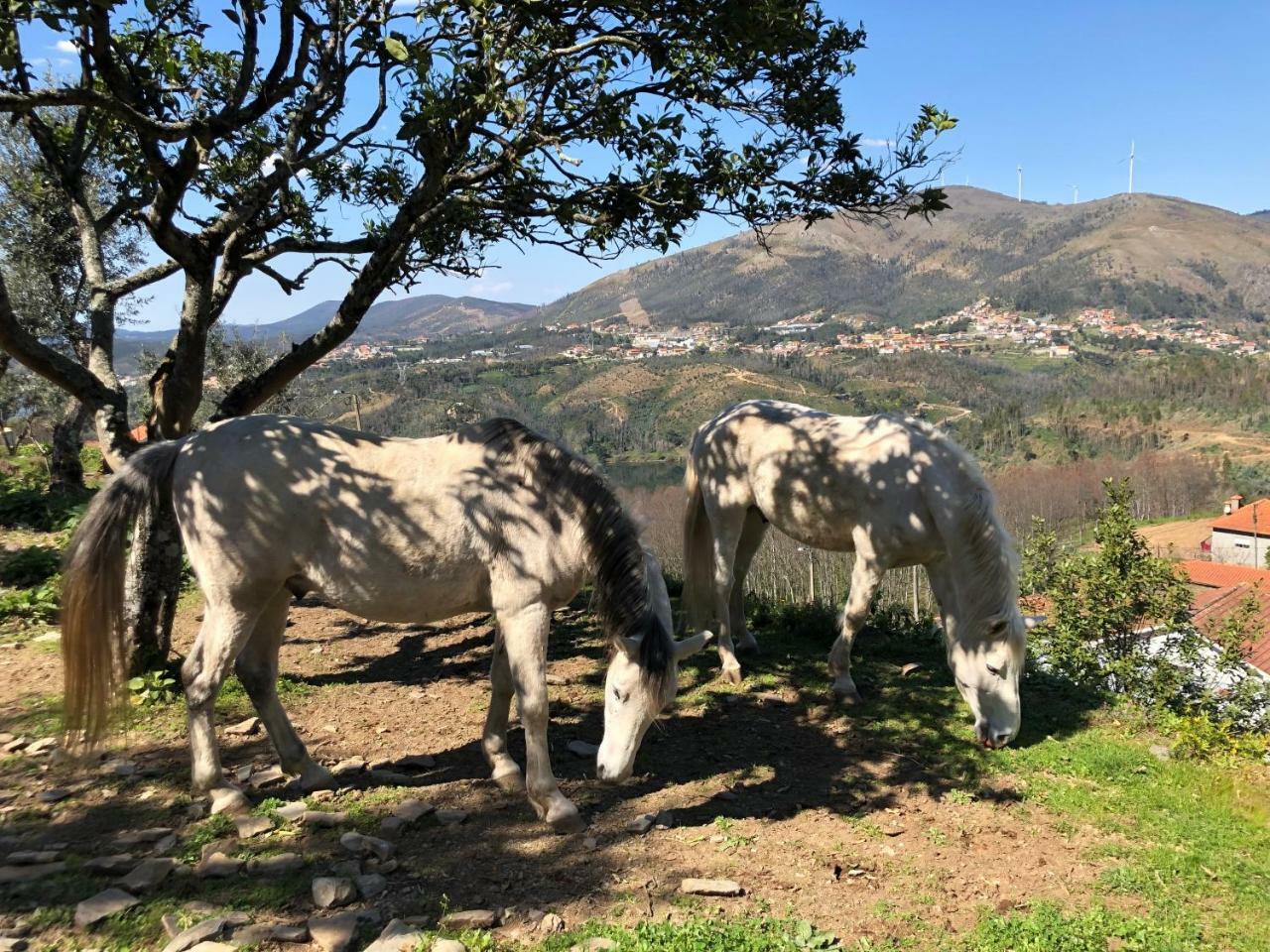 Arrabia Guest Houses Glamping Raiva Bagian luar foto